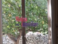 Particolare vista